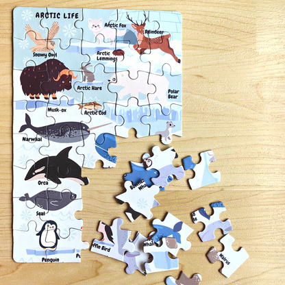 Mini Puzzle Arctic 40 pcs.-23.5