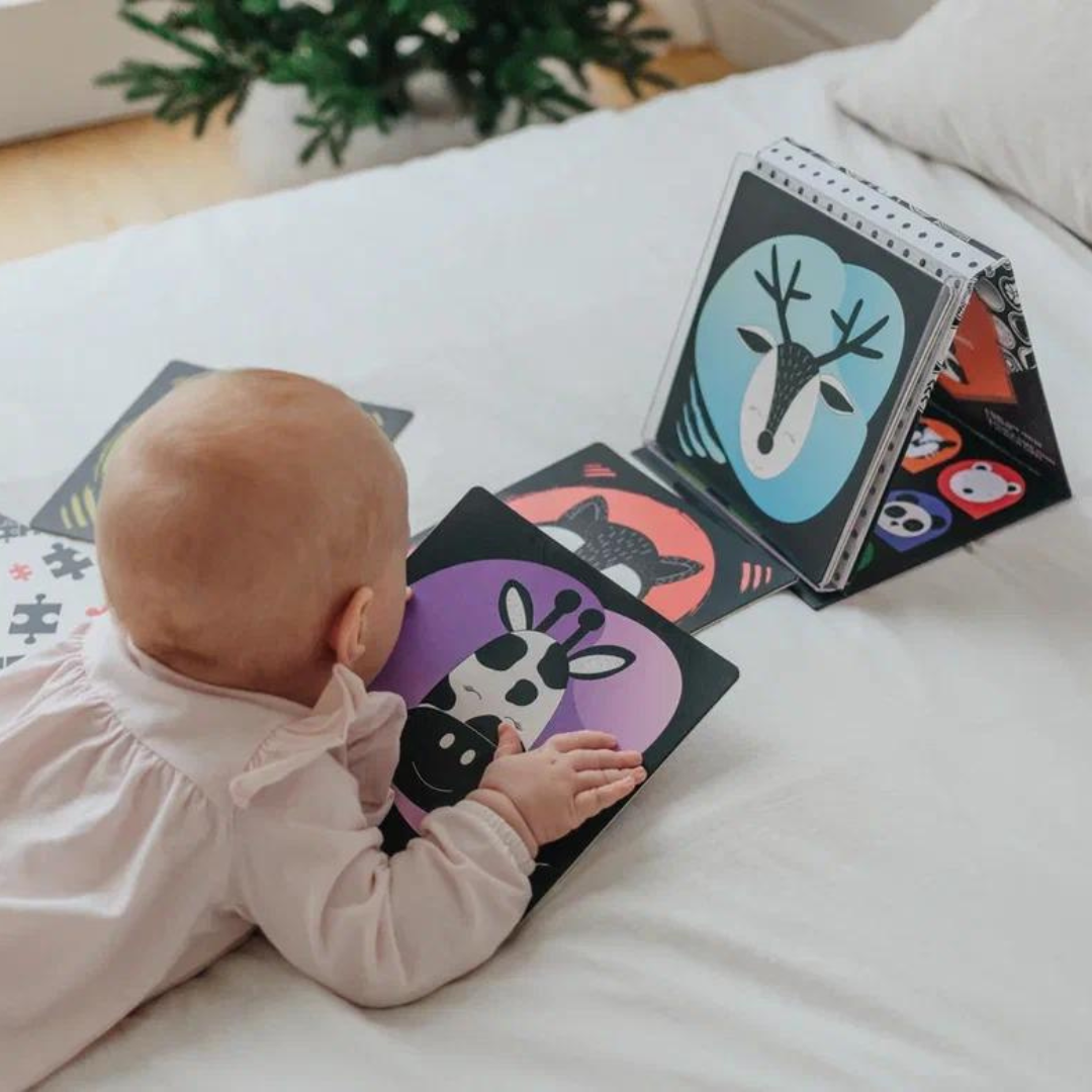 Tummy Time Floor Mirror + Baby Learning Cards