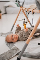 Spielbogen Babygym aus Holz und Filz - Flugzeug Tukan
