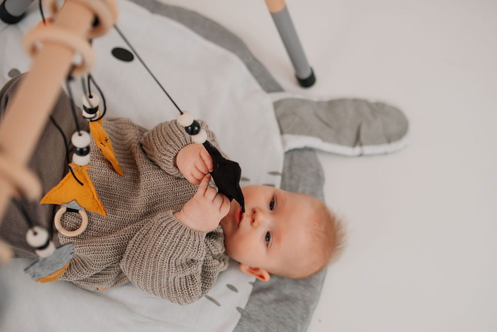 Spielbogen Babygym aus Holz und Filz - Kaktus Tukan