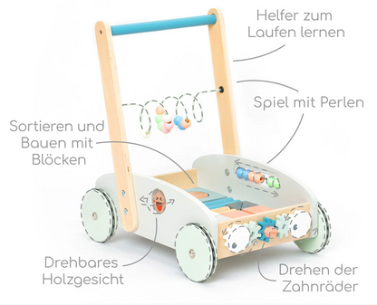 Wooden 5-In-1 Walker Blue